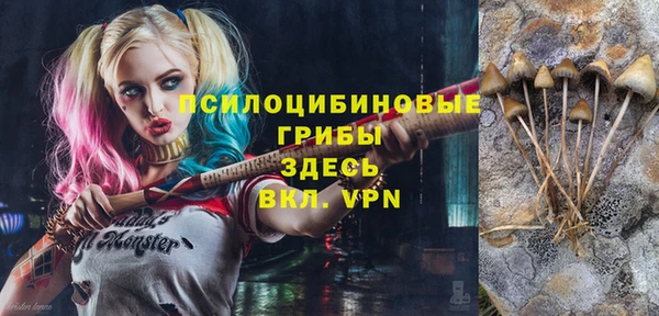 сатива Алексеевка