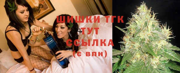спайс Алзамай