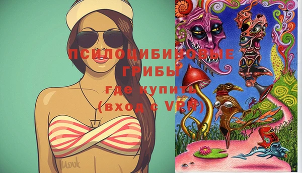 ПСИЛОЦИБИНОВЫЕ ГРИБЫ Абинск