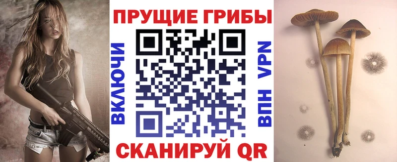 Галлюциногенные грибы Psilocybine cubensis  даркнет сайт  Благовещенск 
