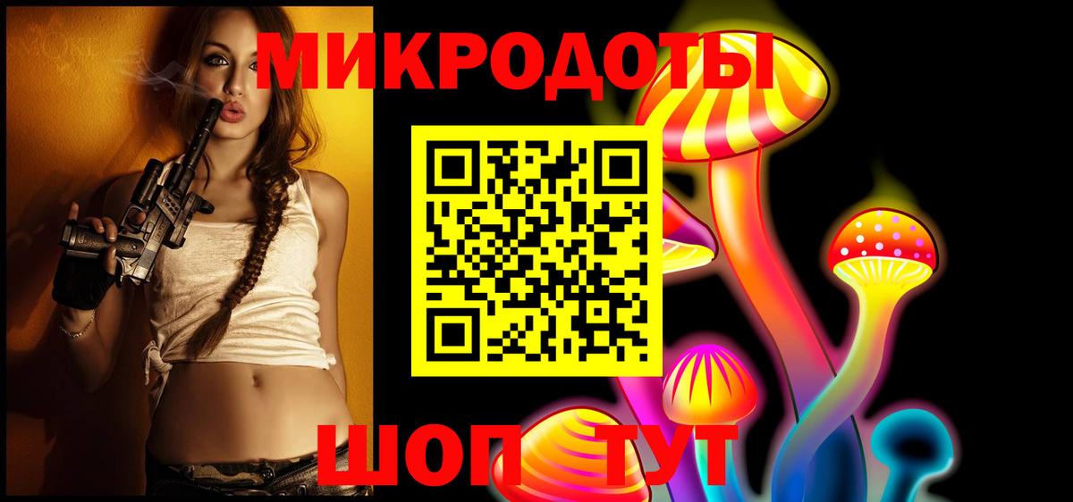 Галлюциногенные грибы Psilocybine cubensis Благовещенск