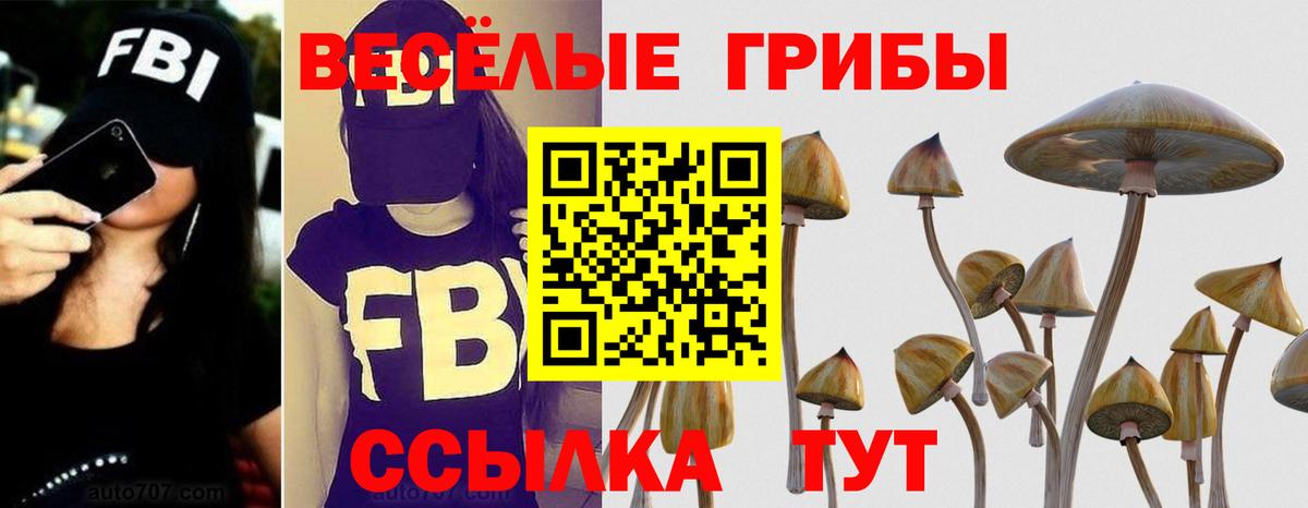 что такое   Вход с VPN  Псилоцибиновые грибы Magic Shrooms  Благовещенск  Галлюциногенные грибы мицелий 
